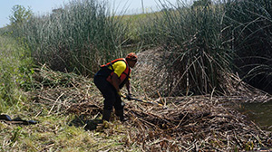 Real Model Solutions (RMS)