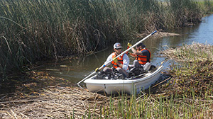 Real Model Solutions (RMS)